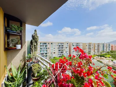 Venta de Departamento en Santiago de Surco - Lima 3 Dormitorios 