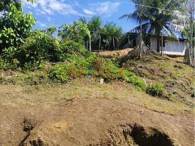 Venta De Terreno De 4 Hectáreas En Pebas Con Vista Al Amazonas