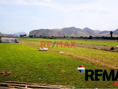 Se Vende Terreno De Campo En Mala Cañete