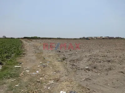 Venta de Terreno / Lote en - Barranca 0 Dormitorio 