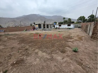 Venta De Terreno En Ñaña- Lurigancho