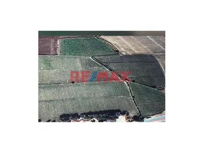 Se Vende Terreno Agrícola En Camaná