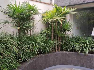 Venta de Departamento en Miraflores - Lima 3 Dormitorios