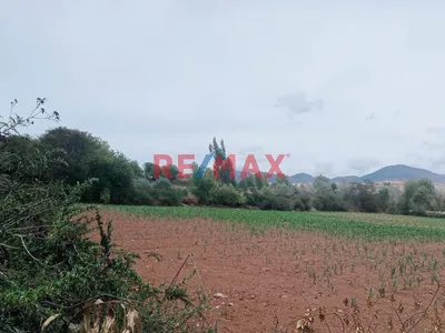 Maras, Urubamba!  Terreno En Venta: 3000 M²