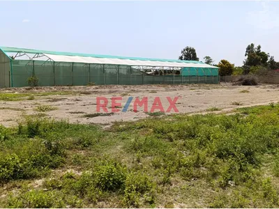 Se Vende Terreno Rustico De 5000 M2 Sunampe Chincha