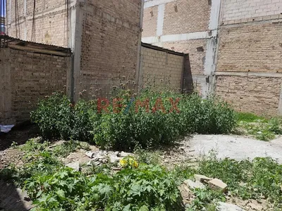 Se Vende Terreno De 140 M2, Jr. Sanchez Hoyos 1295, Zona Mollepampa, Cajamarca