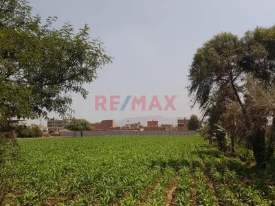 Terreno Agrícola En Venta – 5,000 M² En Carabayllo