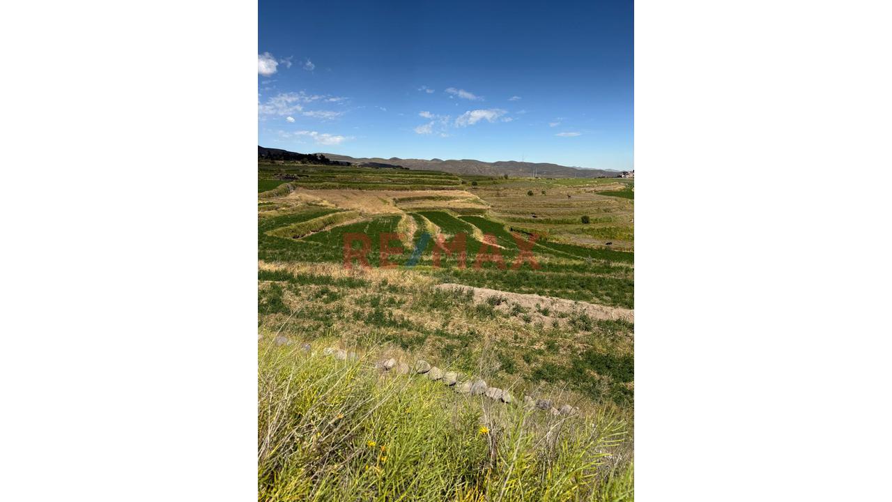 Vendo Terreno Agricola - Chiguata Anexo De Cachamarca