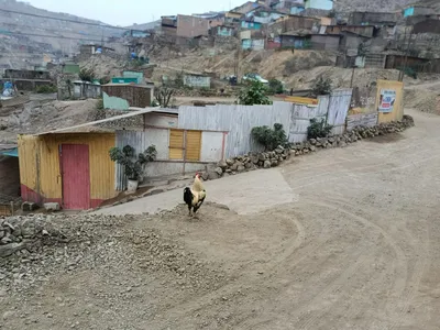 Terreno 240 m²