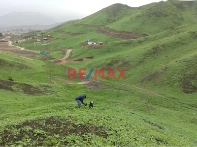 Venta De Terreno De 10 Hectáreas En Lurín | Ideal Para Desarrollo Industrial Y Logístico