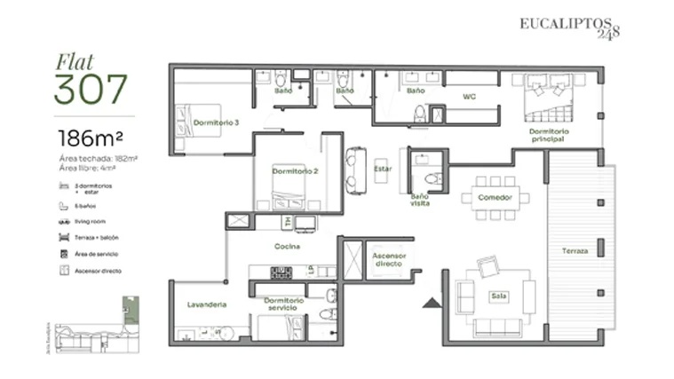Modelo FLAT 307