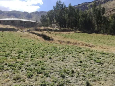 Venta de Terreno / Lote en Coporaque - Caylloma 0 Dormitorio 