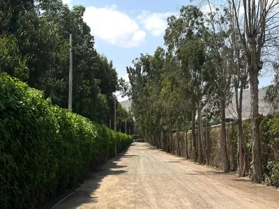 Venta de Terreno / Lote en Cieneguilla - Lima 0 Dormitorio 