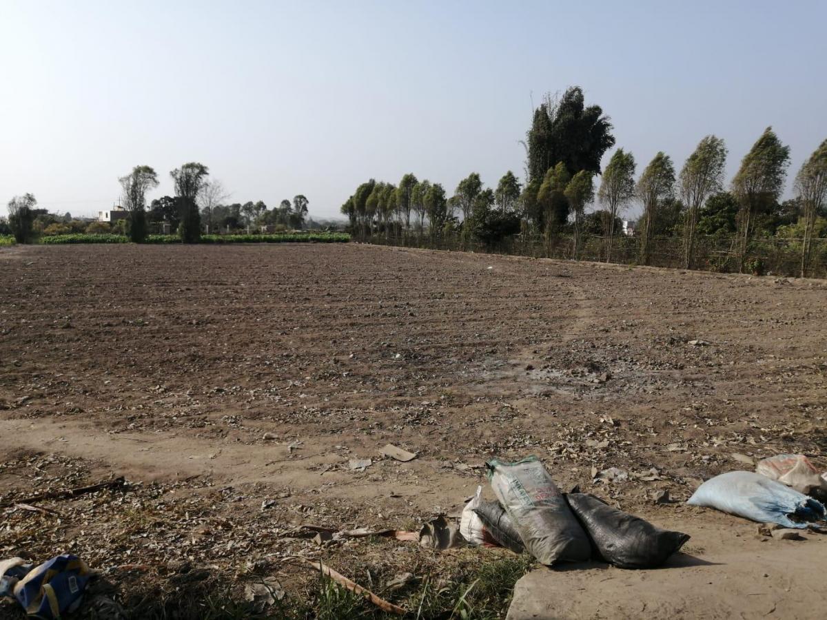 Venta de Terreno / Lote en - Huaral 0 Dormitorio 