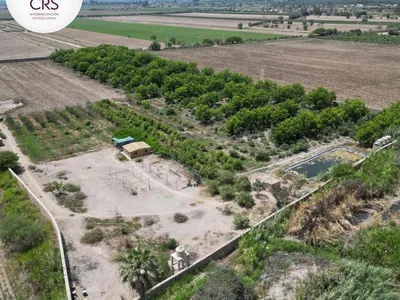 Venta de Terreno / Lote en El Carmen - Chincha 0 Dormitorio 