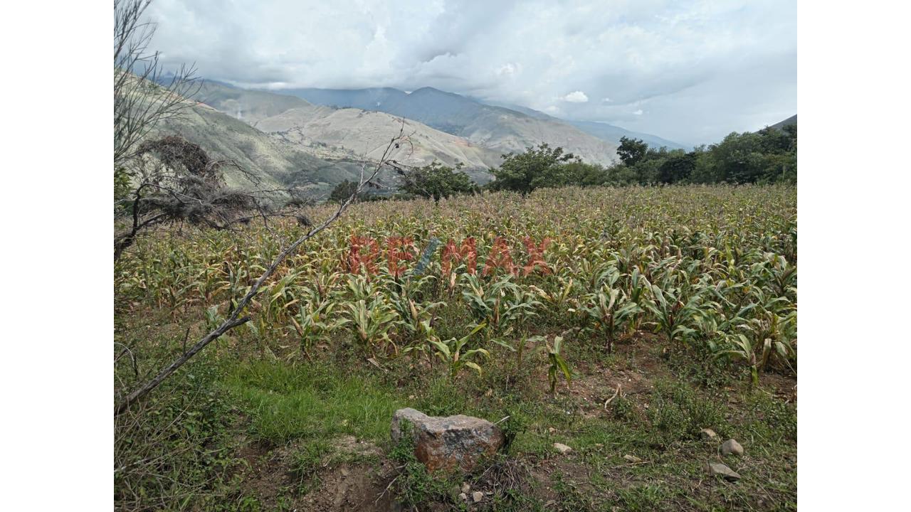 Venta De Terreno En Huanuco 20169 M2