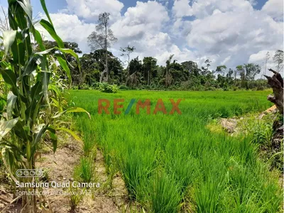 Venta De Terreno De Casi 10 Ha. S/184,500 - Puerto Inca- Huánuco Cerca A Pucallpa