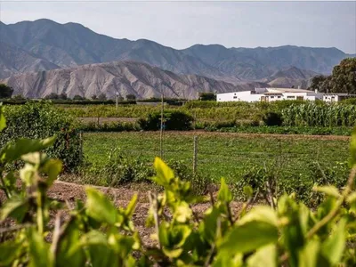Venta de Terreno / Lote en Quilmana - Cañete