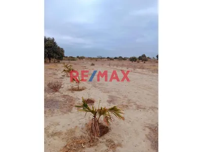 Venta De Terreno En Villa La Palma