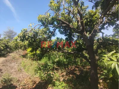 Venta De Parcela 10.25 Hrs En Sector Gc Santa Sofía - Caserío Los Tejedores