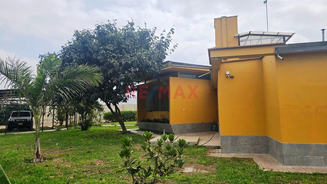 Terreno En Venta 1.288 Ha. En Quilmaná - Cañete