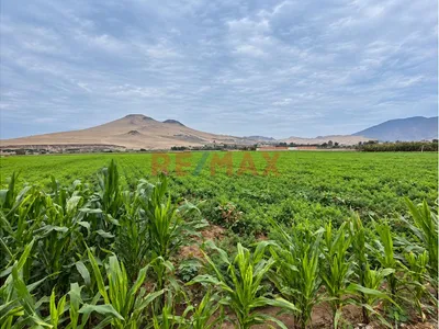 🌱 Terreno En Venta – Chancayllo 18,750 M² | Una Inversión Con Visión De Futuro