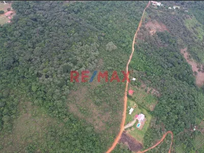 Venta Terreno 1.1Ha En Lamas, Los Uvos, La Loma - San Martín
