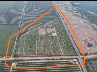 Venta de Terreno / Lote en - Chincha 3 Dormitorios 
