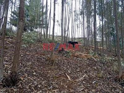 Se Vende Terreno De 1882 M2 En La Carretera A Llacanora Cajamarca
