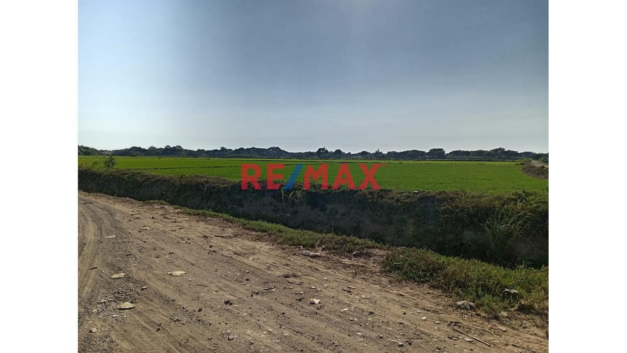 Terreno  Agricola  En Venta  Lambayeque