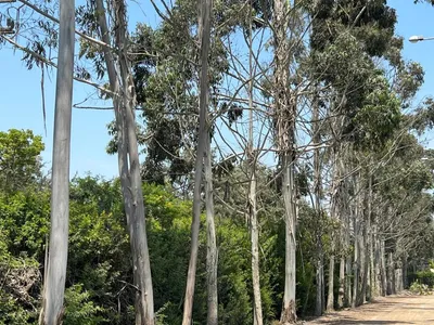 Venta de Terreno / Lote en Santa Cruz de Flores - Cañete