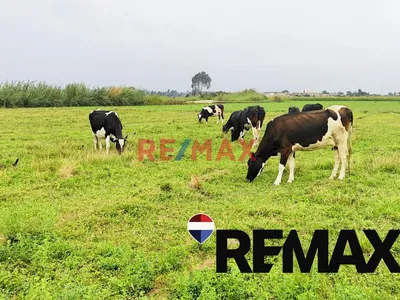 Se Vende Terreno De Campo En Pisco