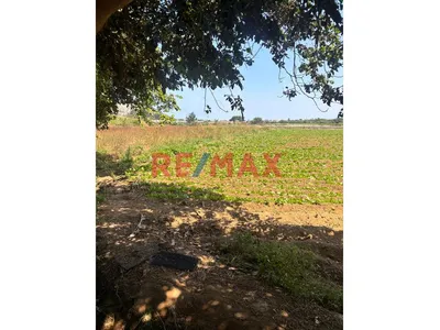 Se Vende Terreno De 1.35 Has En Moche