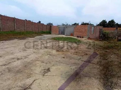 Venta de Terreno Agrícola en Mala - Cañete 0 Dormitorio 