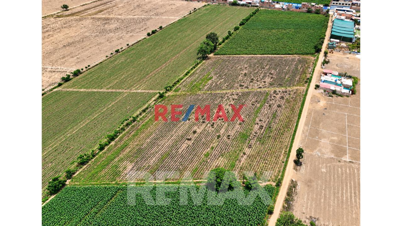 Venta De Terreno Huaral 12500M2 Sector Retes Zonificación Zdm