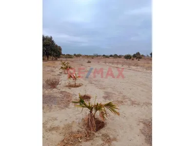 Venta De Terreno