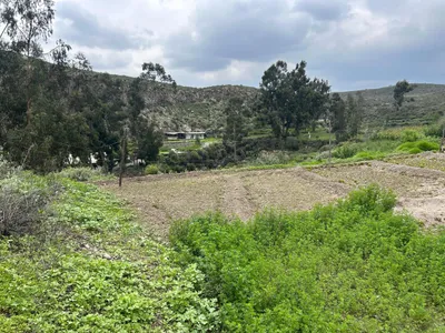 Venta de Terreno / Lote en Chiguata - Arequipa 0 Dormitorio 