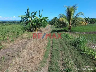 Venta de Terreno / Lote en Moyobamba