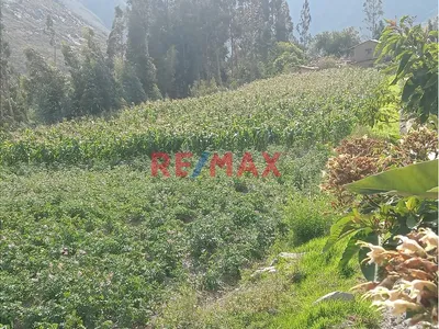 Gran Ocasión En  Vende Terreno En Ollantaytambo  , Cusco*