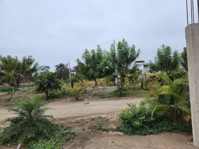 Terreno en venta · Las Praderas 93, Asia · 600 m²