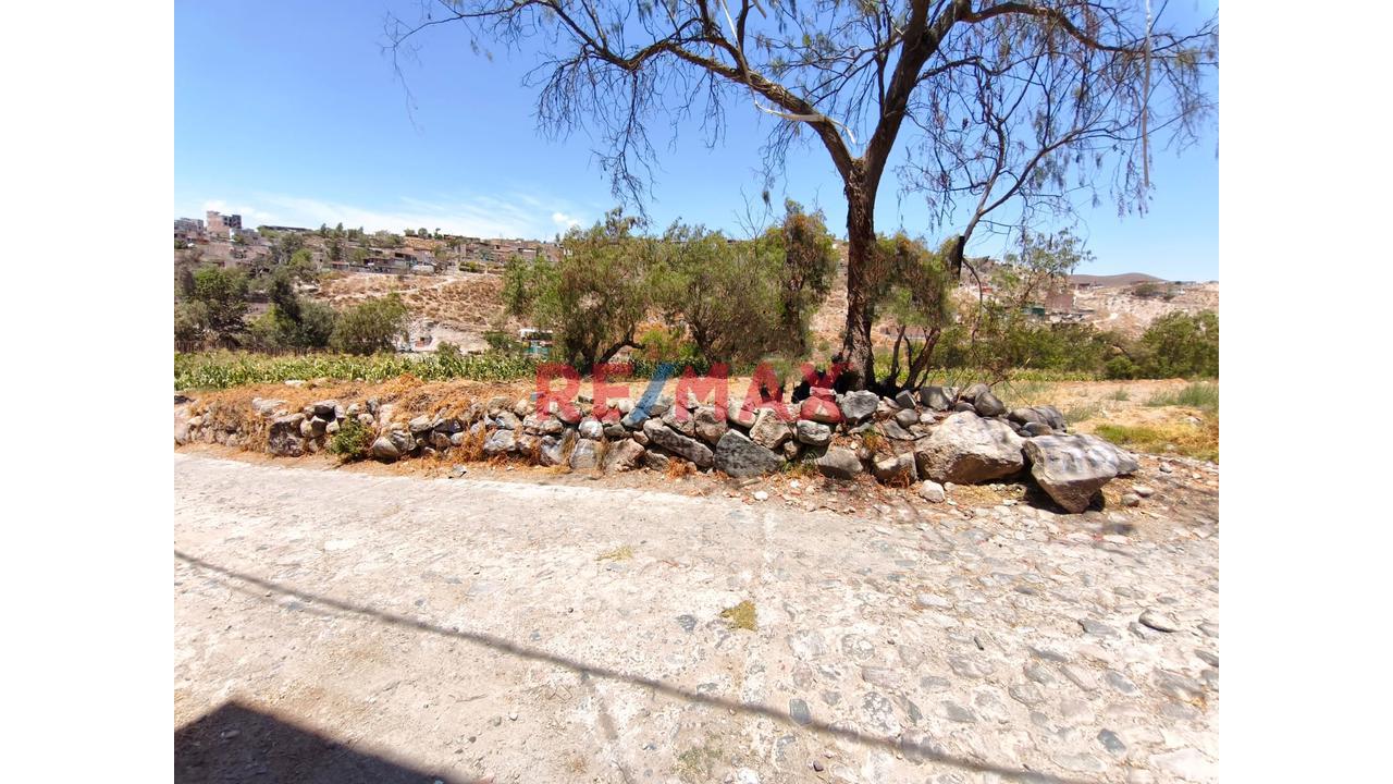 Terreno Agrícola En Characato Cerca A La Picanteria La Guardiana
