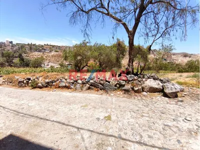 Terreno Agrícola En Characato Cerca A La Picanteria La Guardiana