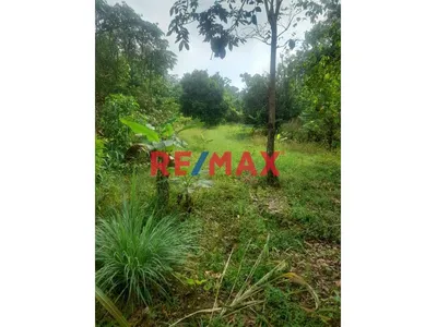 “¡Oportunidad De Inversión! 9.75 Ha Con Quebrada Natural En Iquitos–Nauta”