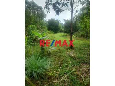 “¡Oportunidad De Inversión! 9.75 Ha Con Quebrada Natural En Iquitos–Nauta”