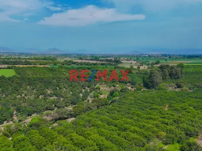🌿 Invierte En Chancay : Lote De Campo De 352.68 M² En Proyecto Ecoresidencial
