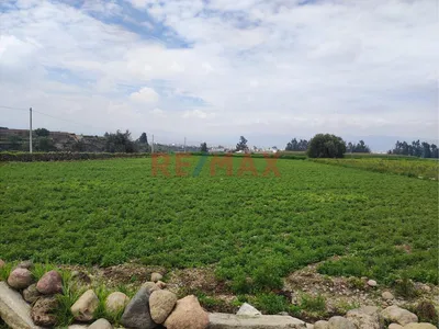 Venta De Terrenos A Espaldas Del Cortijo-Cerro Colorado