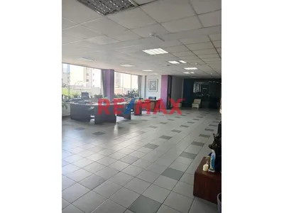 Alquiler Oficinas Amobladas En Zona Segura De Santa Beatriz, Con 02 Estacionamientos