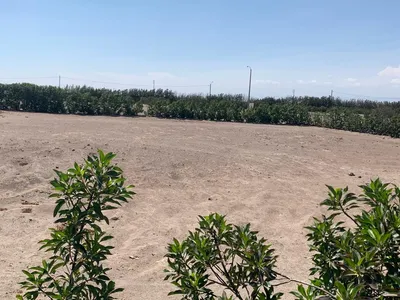 Venta Terreno Urbano En Casa Hacienda La Joya (1Era Etapa)