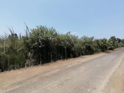 Terreno en venta · Kilómetro 86.5 de la Panamericana Sur, Mala · 16500 m²