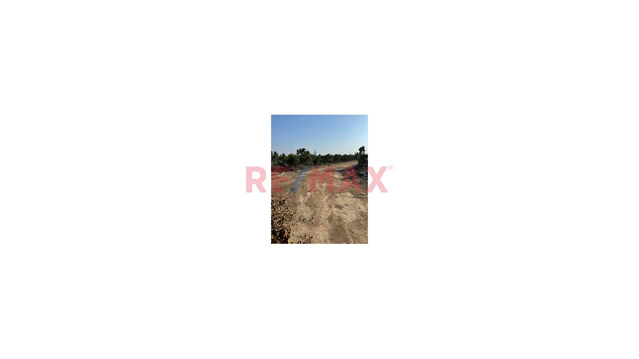 ¡Oportunidad! Terreno De 6,795 M² En Huaral (Granados - Esperanza Baja) | Ideal Casa De Campo O Inversión